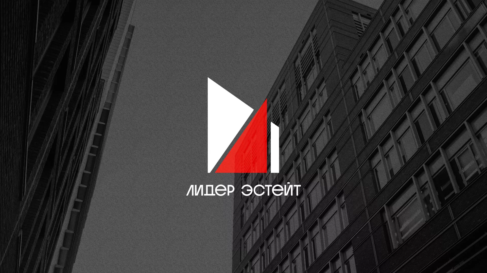 Сделали логотип для агентства недвижимости «Лидер Эстейт» в Юрьев-Польском